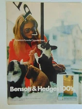 1971 BENSON & HEDGES 100's Pet Shop Puppies Woman Bent Cigarette art print ad
