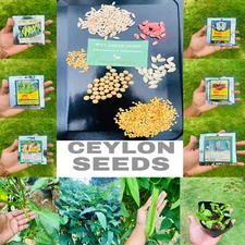 Ceylon Vegetable seeds Famous 6 Varieties Pure Natural Home Gardening 40+ Seeds