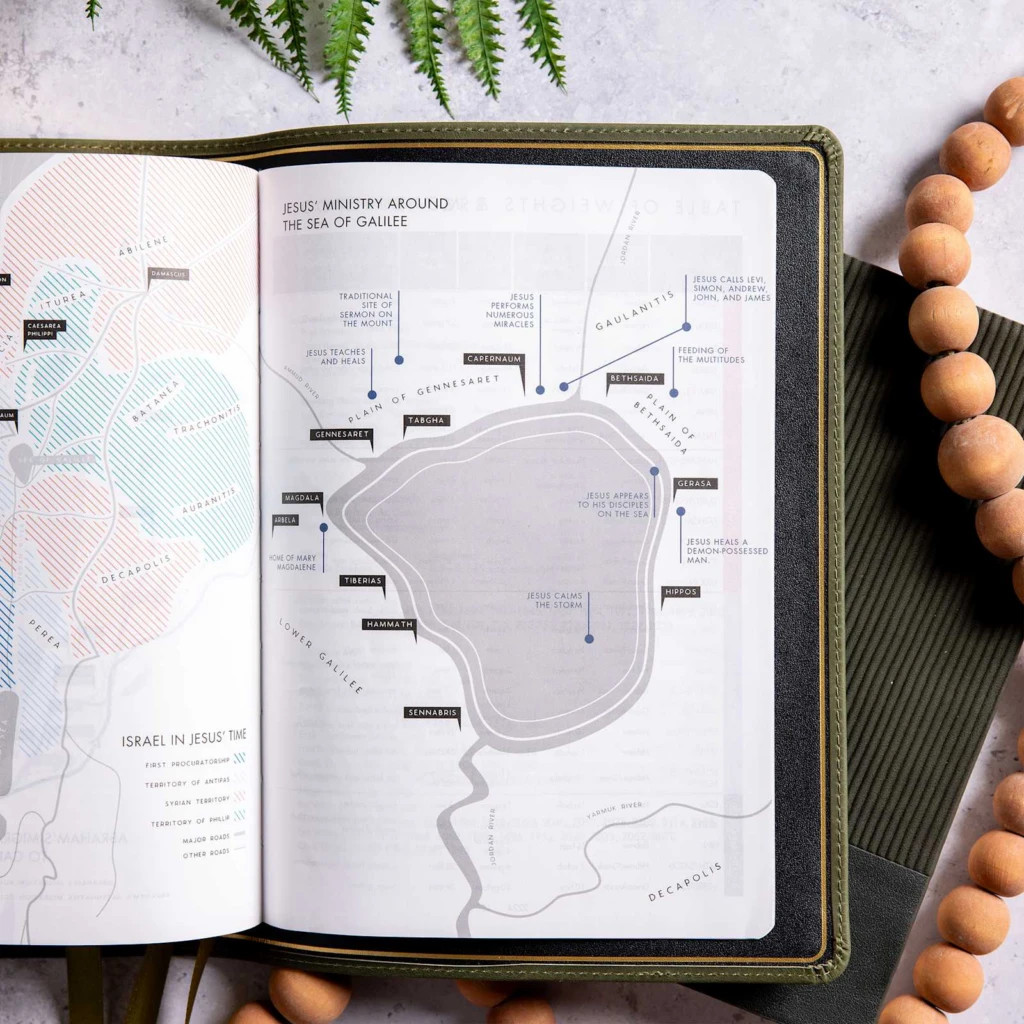 She Reads Truth Bible, Holman Handcrafted Collection, Olive Premium ...