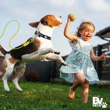 New! Dog Pet Tie Out Cable Leash Cord Heavy Duty Steel Strong Long Run 25Ft Yard