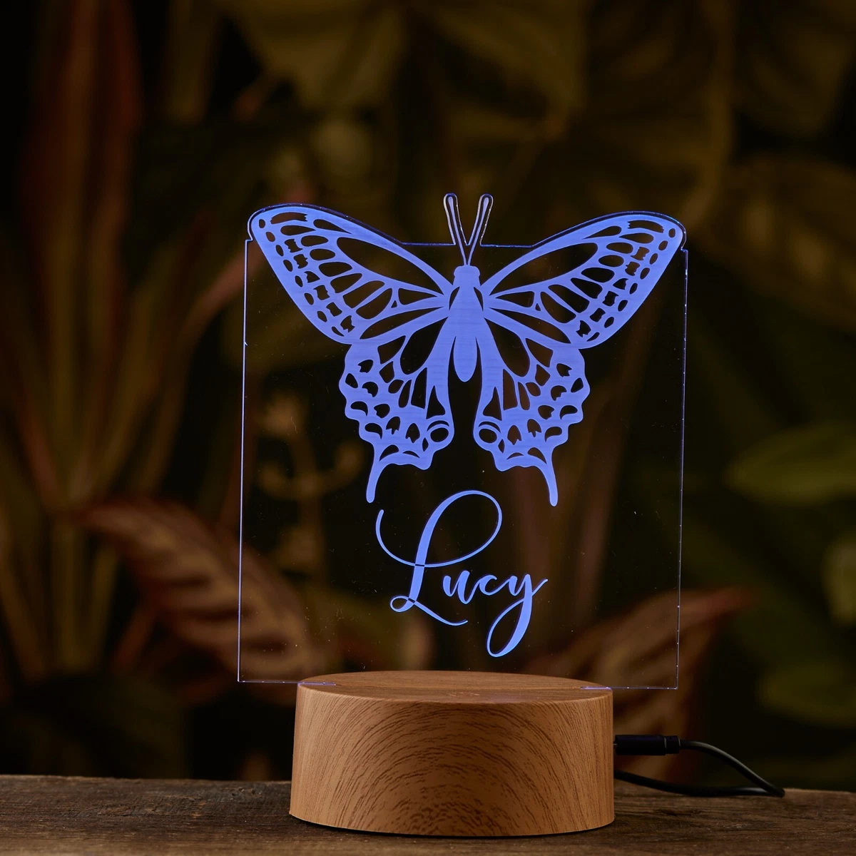 12 volt led night light deals