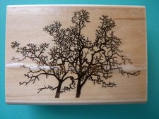 Sello de goma Oak Tree 178E STAMPSCAPES