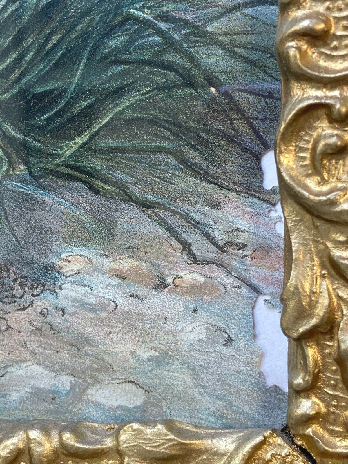 Picture 8 of 12