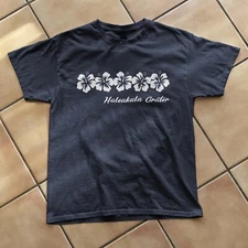 Haleakala Crater Vintage Tee Hawaiian Graphic Tourist Keepsake