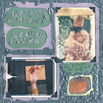 Modest Mouse Sad Sappy Sucker (CD) Album