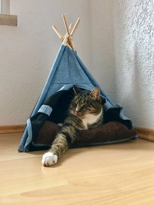 Details Zu Tipi Zelt Stoff Hunde Bett Katzen Bett Katzen Haus Hunde Höhle Eckiger Eingang