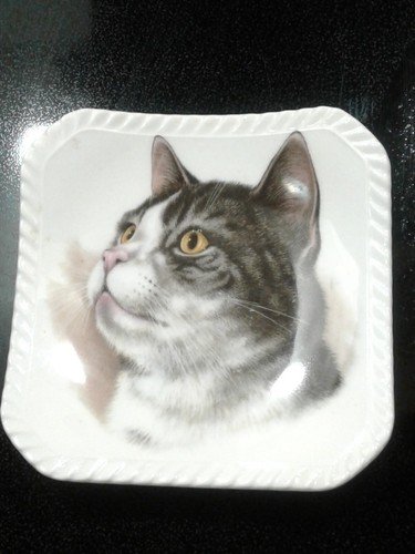 Royal Adderley Bone China England CAT coaster plate Tea Appetizer 4"gray Kitten - Picture 6 of 6