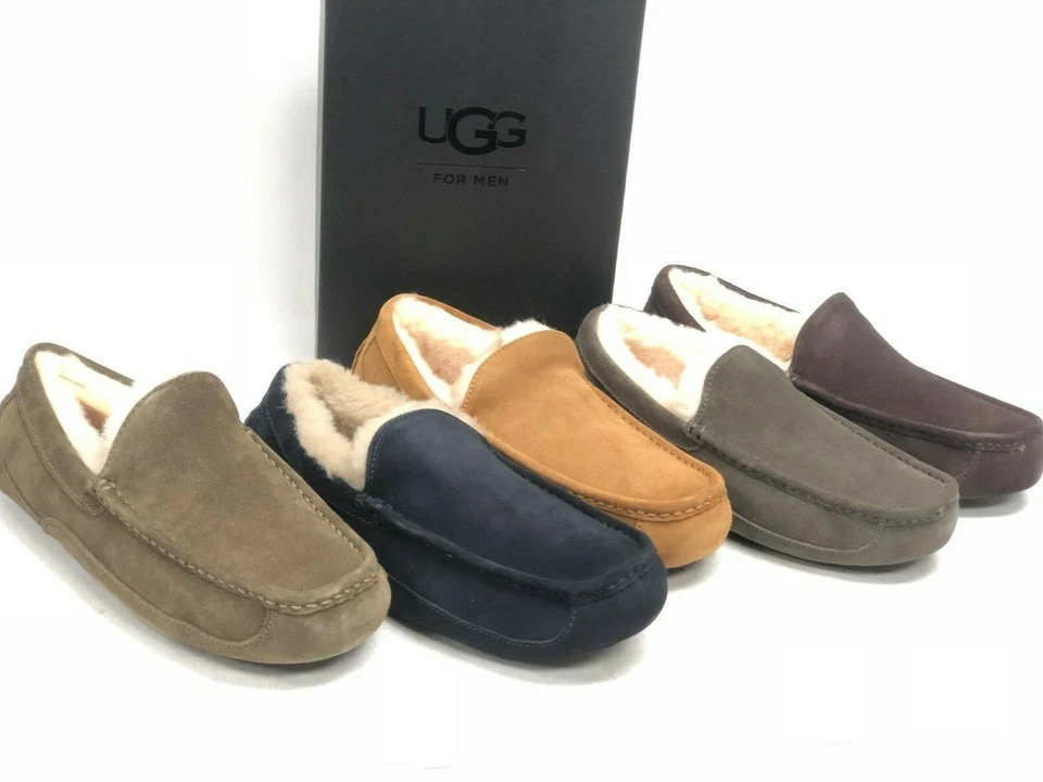 UGG 男式 Ascot 拖鞋 1101110 鞋羊皮麂皮绒多种颜色 — 第 2/3 张图片