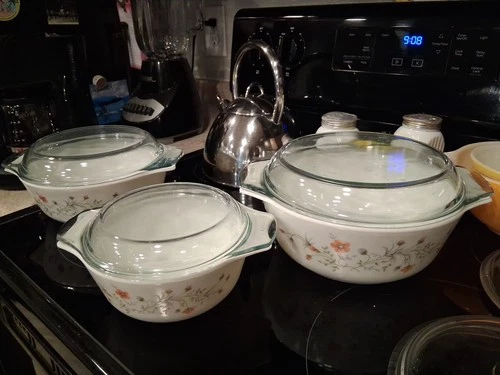 Vintage Pyrex Emily Spring Garden Casserole Dishes With Lids. Set Of 3.