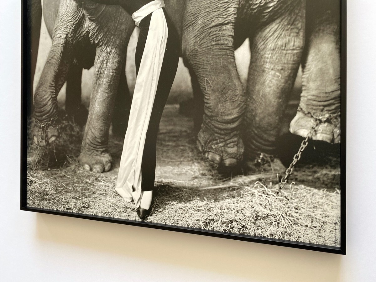RICHARD AVEDON RARE 1978 LITHO PRINT FRAMED EXHBT POSTER