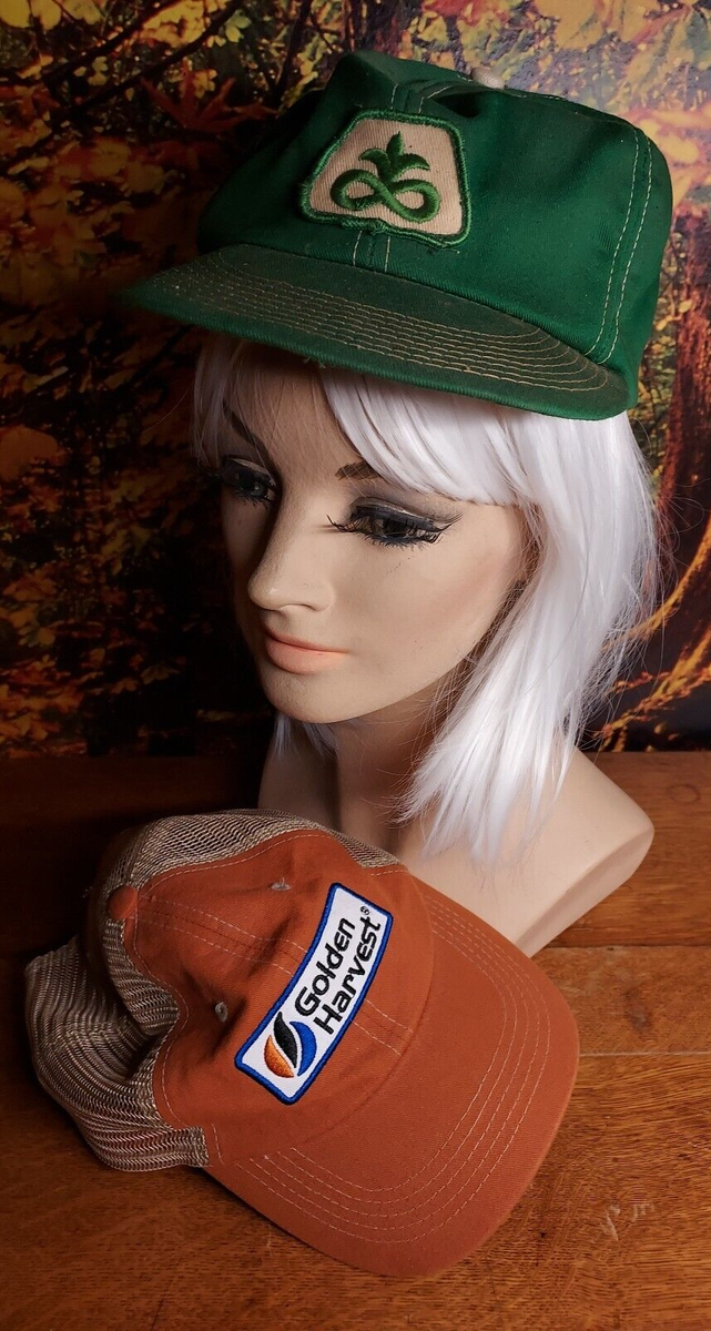 VINTAGE Golden Harvest Asgro Logo Hat Cap SnapBack Grunge
