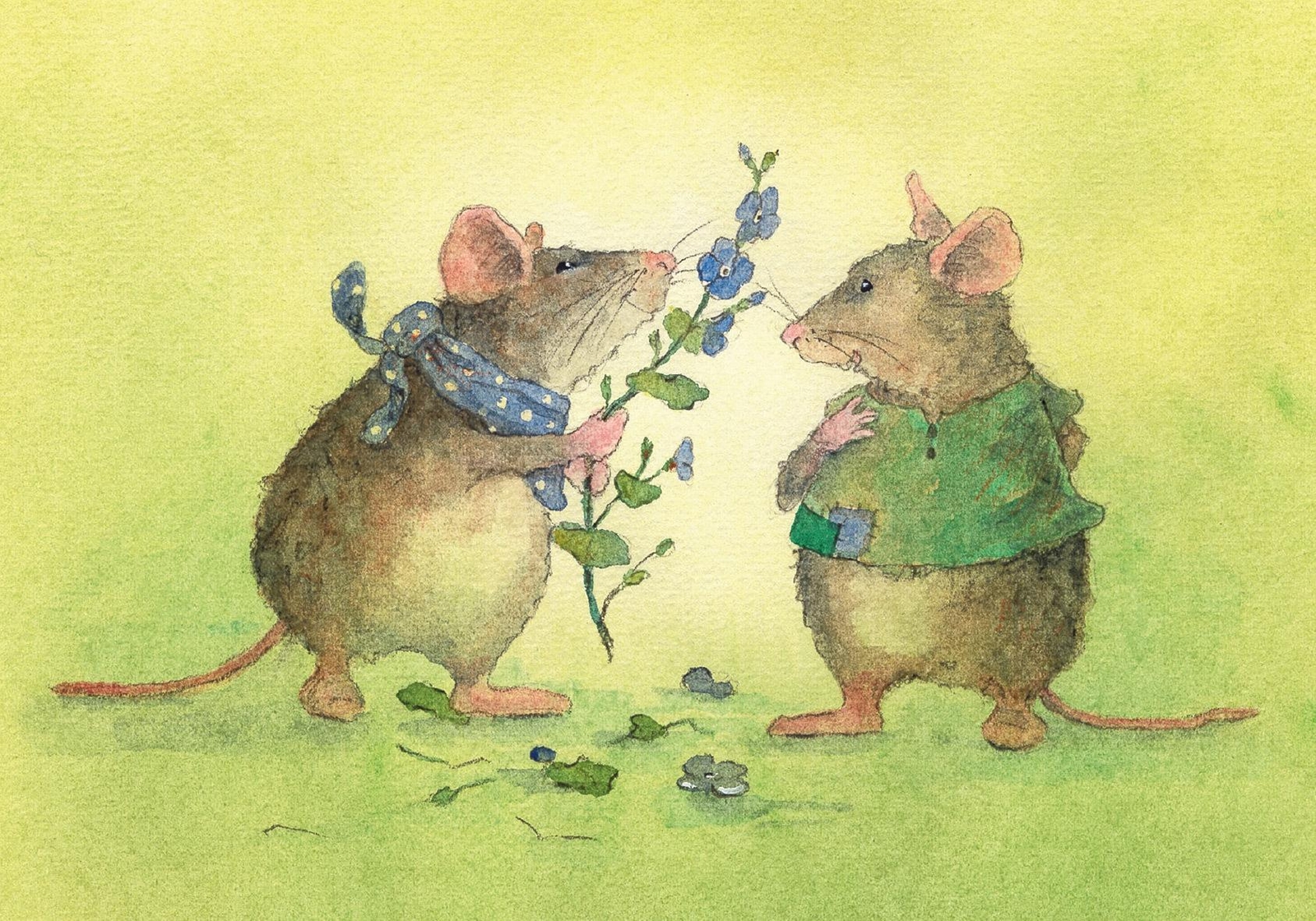 Thumbnail - Daniela Drescher Postkartenbuch »mäusepost«