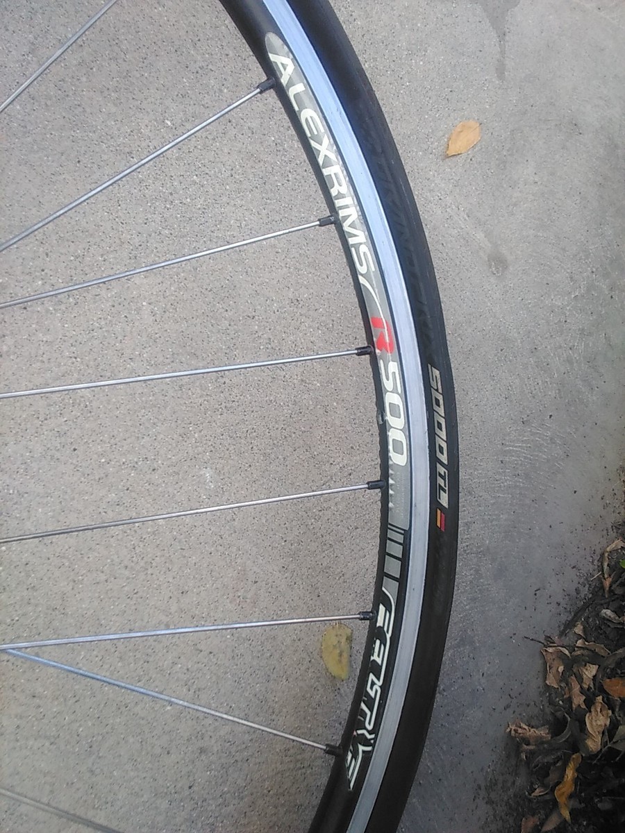 パーツ ALEXRIMS R500 Alexrims R500 8-Speed 32-Spoke Aluminum Disc Brake 700C
