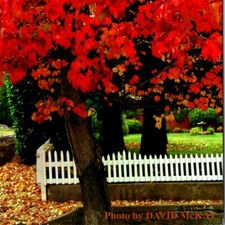 1990s David McKay Nevada City Council Member Planning Commissioner California