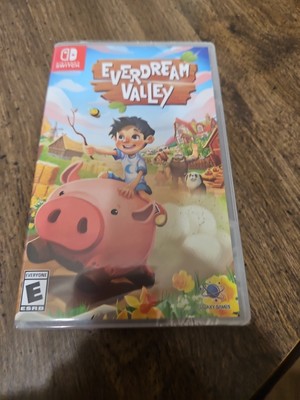 Nintendo switch - Everdream Valley - Brand New & Sealed