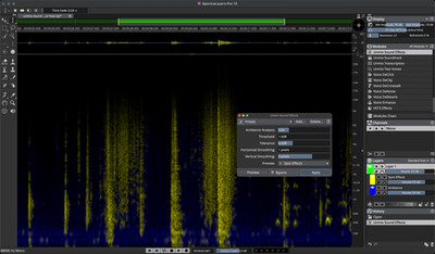 Steinberg SpectraLayers Pro 13 Education 365