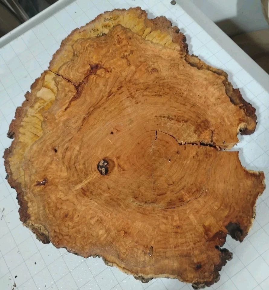 Mesa redonda para carpintería W503 Cherry Burl 18x15x1 ojos de 10-12 mc Foto 2 de 2