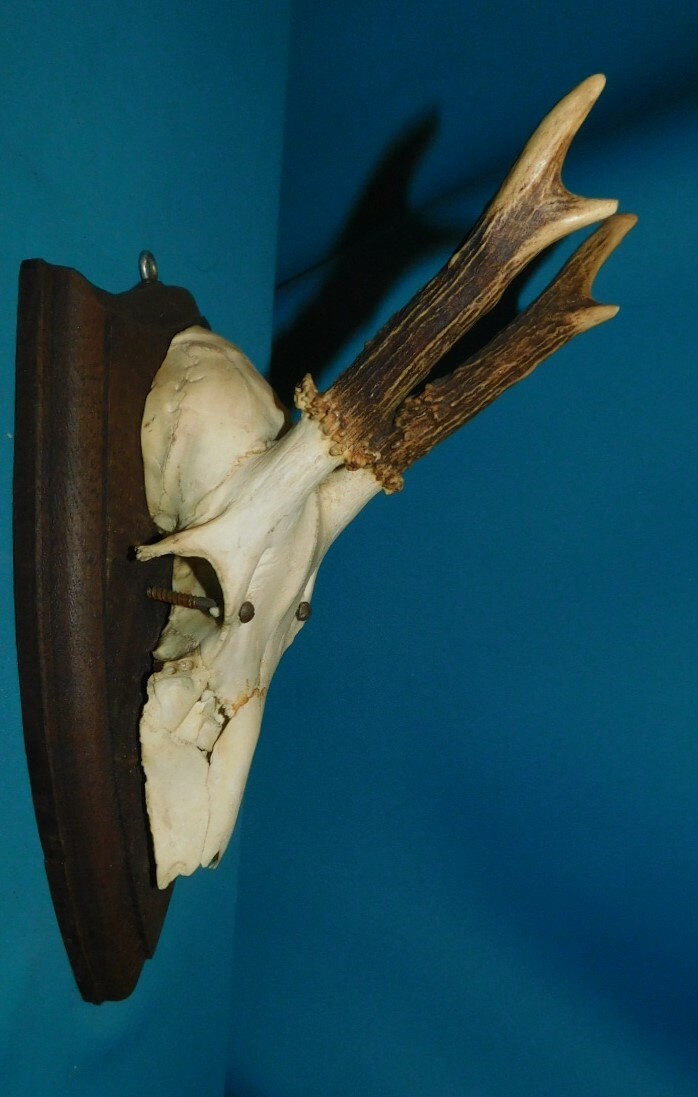 Picture 2 of 5