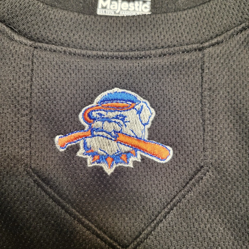 Camisa Motor City Hit Dogs Para Hombres L Negra Manga Larga Ropa Activa Béisbol Detroit Foto 4 de 4