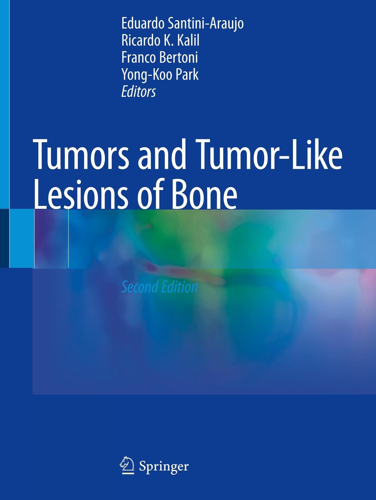 Thumbnail - Eduardo Santini-araujo (u. A.) | Tumors And Tumor-like Lesions Of Bone