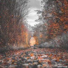 Outdoor 10'x10' Computer-painted Scenic Photo Background Vinyl Backdrop BHF1150