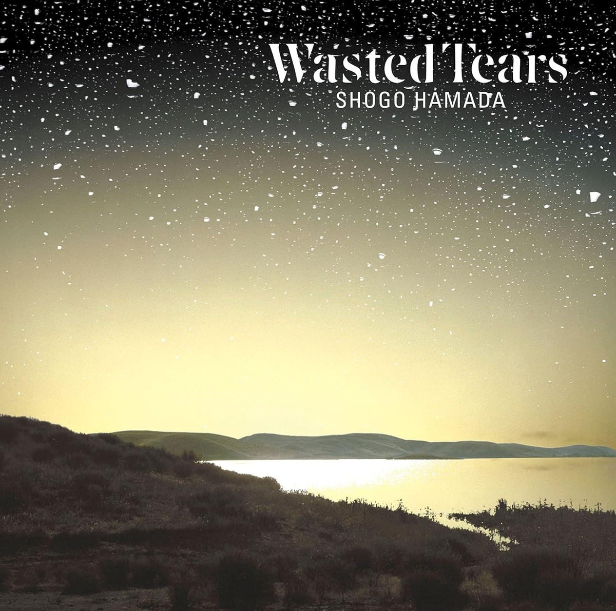 CD WASTED TEARS Japan Shogo Hamada Music (1 CD) SECL-3016 Album | eBay