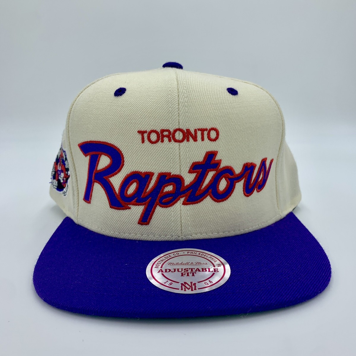 DS 2012 Toronto Raptors Script Mitchell Ness HWC Cream Dome Snapback Hat