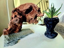 VINTAGE UNIQUE CEDAR NATURAL drift WOOD SCULPTURE Decor