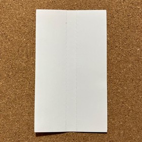 SATURN Shining Wisdom Edition 6s