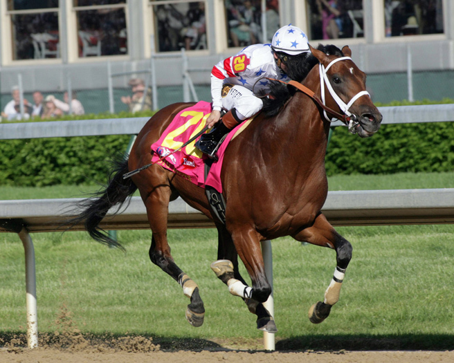 2008 Champion Racehorse BIG BROWN Glossy 8x10 Photo Kentucky