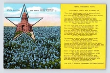 Postcard Texas TX Bluebonnet Flower Field Poem 1940s Unposted Linen