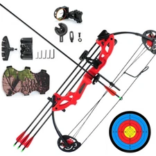Archery Compound Bow&Arrow Kit Hunting Bow 15-29lbs Complete Bow Accesories Set