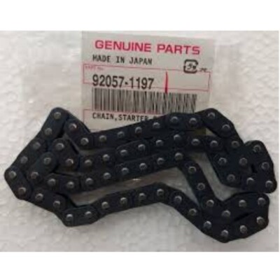 chanerunrun です Amazon.com: Pink O-Ring Drive Chain for Kawasaki ZX636 Ninja