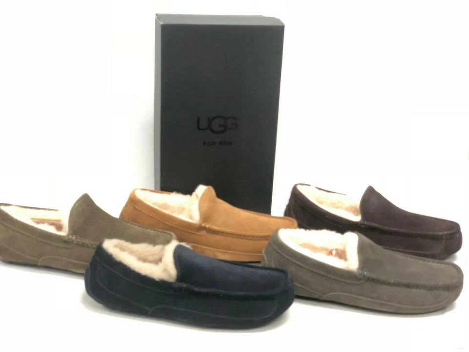 UGG 男式 Ascot 拖鞋 1101110 鞋羊皮麂皮绒多种颜色 — 第 3/3 张图片