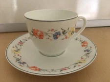 Vintage Bone China Tea Cup and Saucer Eschenbach Germany 