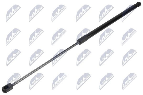 NTY Gasfeder, Koffer-/Laderaum AE-CT-066 FüR CitroËN-image