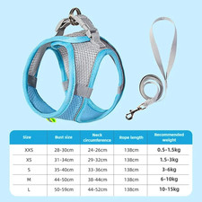 Pet Things Cat Accessories Cute Adjustable Cat Collar and Leash Set for Walking