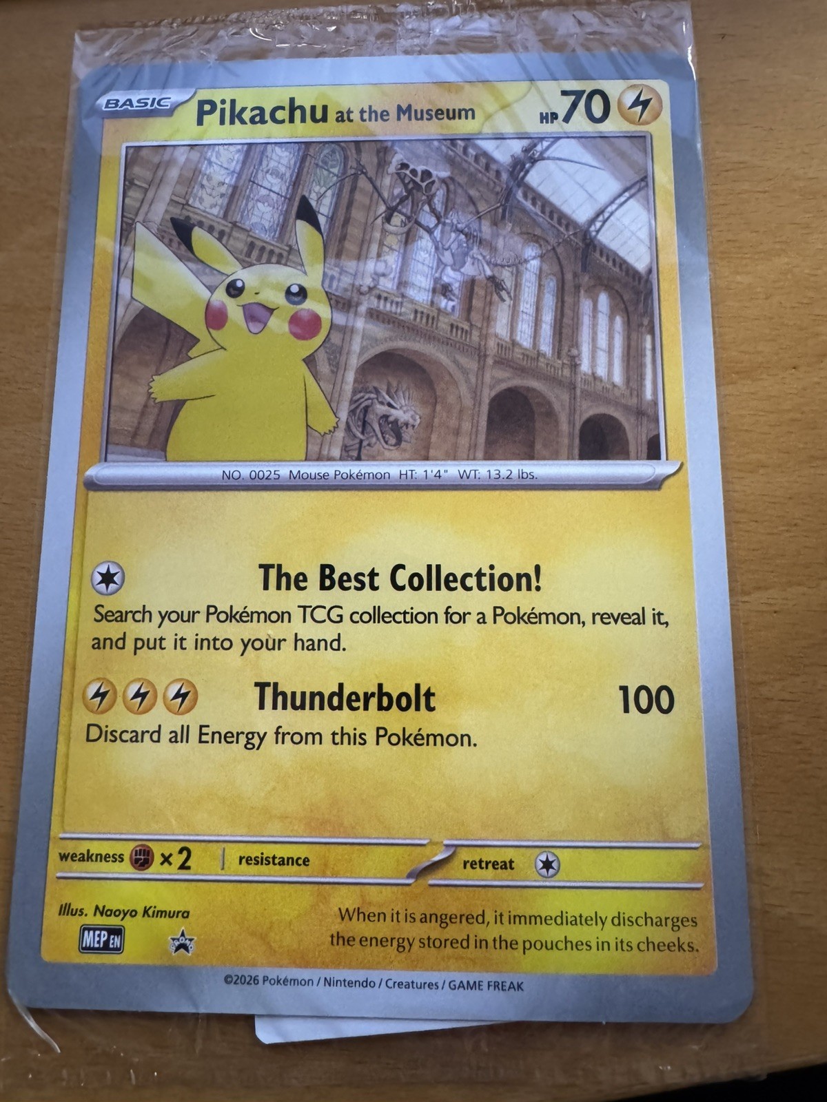 Pikachu At The Museum Oversized Promo Card - Natural History Museum - Sealed