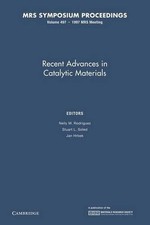 Recent Advances in Catalytic Materials: Volume 497 by Nelly m. Rodriguez (Englis