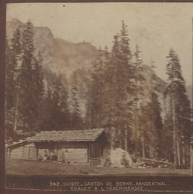  Switzerland: Canton de Cerne Kanderthal Chalet a L'Oeschinesee Rare Stereoview