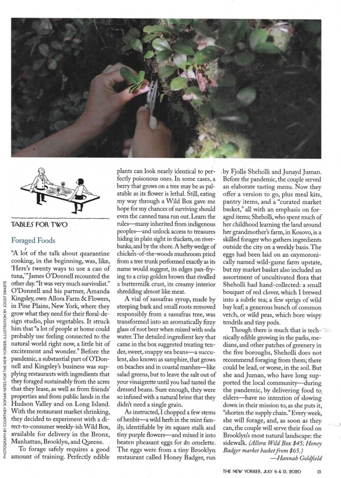 New Yorker Magazine Vulnerable Communities Business Model Animal Virus 2020 Foto 4 de 4