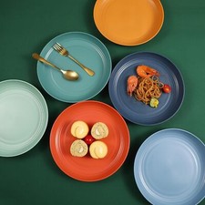 12 Pcs Unbreakable Deep Dinner Plates Set, 10 inch Reusable Plastic Wheat Straw