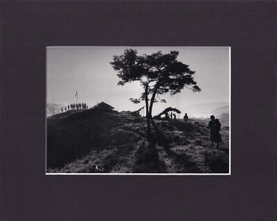 8X10'' Matted Print Photo Picture: Paul Fusco, Finca el Encanto Mexico, 1994