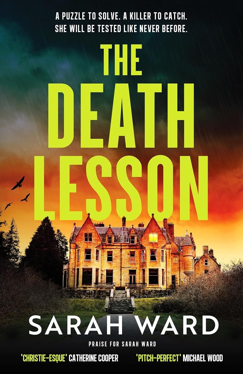 The Death Lesson By Sarah Ward NEW Paperback Welsh crime Fiction Book