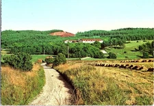 Scenic View Stenders Forlag Rold Stor-Kro Denmark Photochrome Postcard