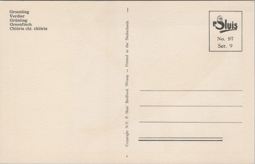 Vögel Grünfink Tiere Vintage Postkarte B149 - Bild 2 von 2