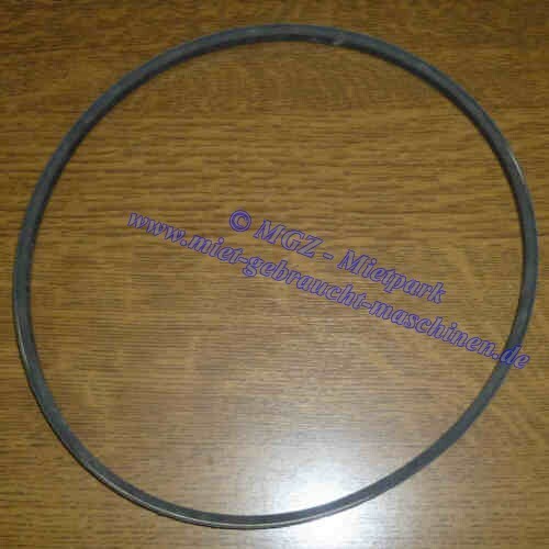 Anillo De Retención - Mx-700707403 - AGCO Parts