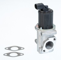 Wahler 710772D Agr-Ventil FüR Fiat Lancia
