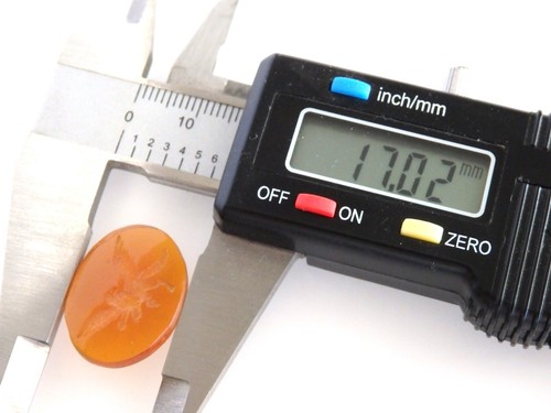 GRYPHON CHIMERA honey amber Venetian glass Intaglio*oval*22mmx17mm*Tassie seal - Picture 8 of 12