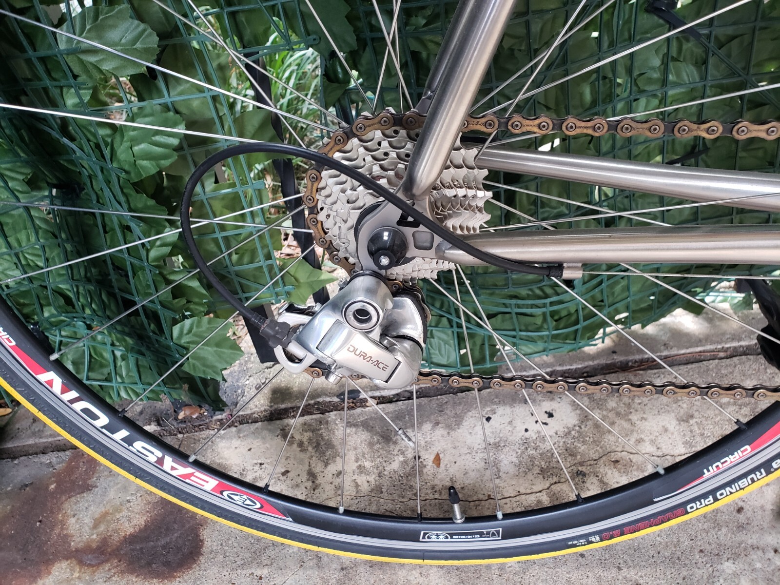 full body exercise bike